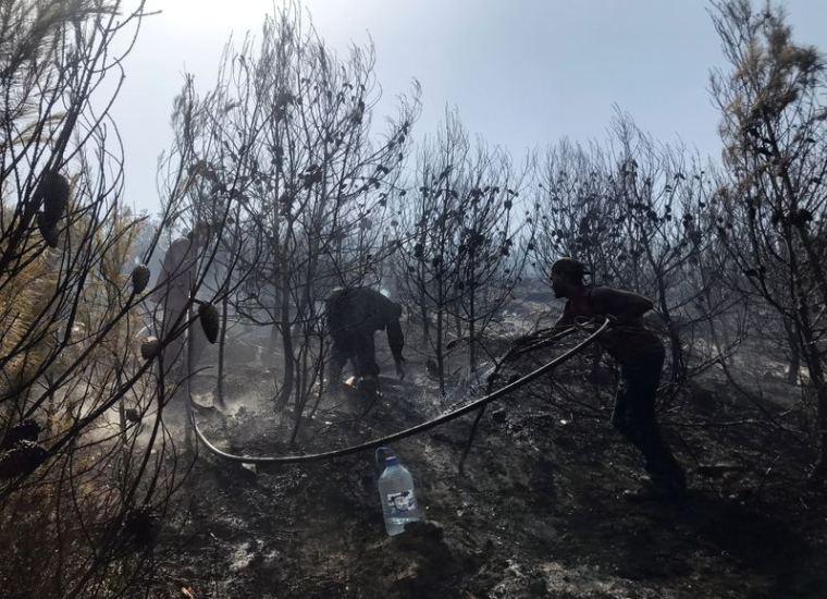 L'ALGÉRIE ACCUSE UN GROUPE LIÉ AU MAROC ET ISRAËL D'ÊTRE À L'ORIGINE DES INCENDIES