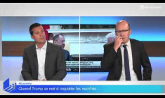 "La destitution de Trump est un non-sujet pour les marchés !" selon l'économiste François-Xavier Chauchat