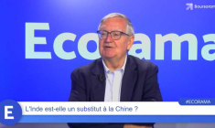 L'Inde est-elle un substitut à la Chine ?