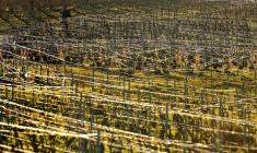 ( AFP / FRANCOIS NASCIMBENI )