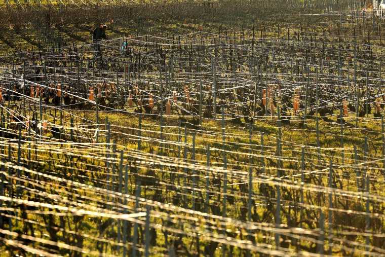 ( AFP / FRANCOIS NASCIMBENI )