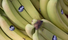 SUMITOMO LANCE UNE OFFRE DE 751 MILLIONS D'EUROS SUR FYFFES