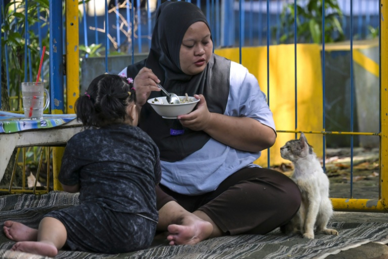 Cette photo, prise le 5 mai 2026, montre un chat errant attendant que les visiteurs d'un parc de Jakarta, en Indonésie, lui donnent à manger ( AFP / BAY ISMOYO )