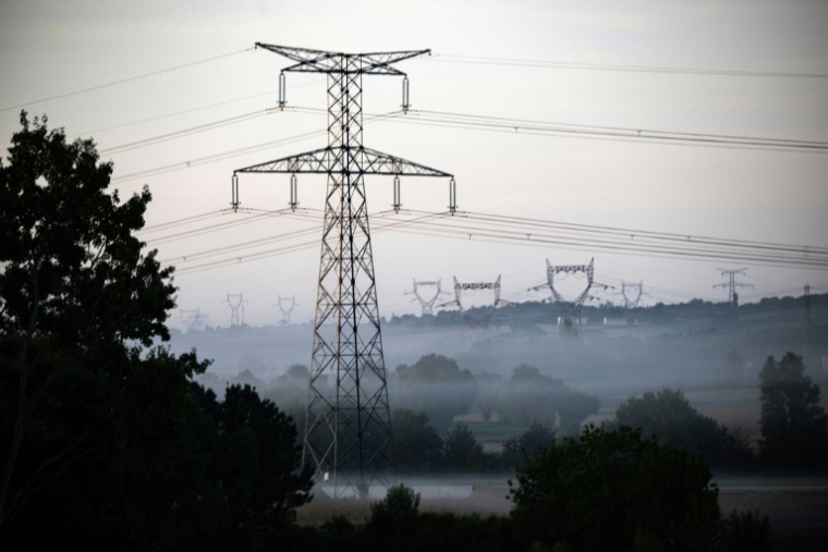 La consommation d'électricité en France est restée stable l'an dernier ( AFP / Lionel BONAVENTURE )