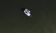 Vague de chaleur : le Danube atteint des "niveaux historiquement bas" en Serbie
