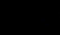 Des paquebots en Amazonie pour des délégués de la COP30