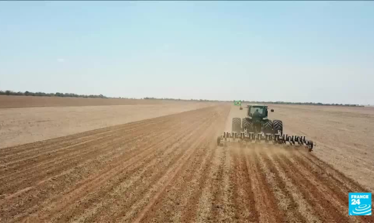 Déforestation au Brésil : le soja dévore la forêt amazonienne