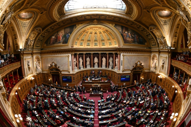 Le Sénat, le 2 avril 2024 à Paris ( AFP / Bertrand GUAY )