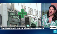 La canicule donne des sueurs froides aux compagnies d'assurance