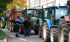 Une manifestation d'agriculteurs à Strasbourg, le 21 octobre 2024. ( AFP / FREDERICK FLORIN )