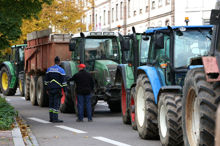 Une manifestation d'agriculteurs à Strasbourg, le 21 octobre 2024. ( AFP / FREDERICK FLORIN )