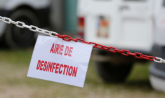 UN FOYER DE GRIPPE AVIAIRE DÉTECTÉ DANS LE DÉPARTEMENT DU NORD