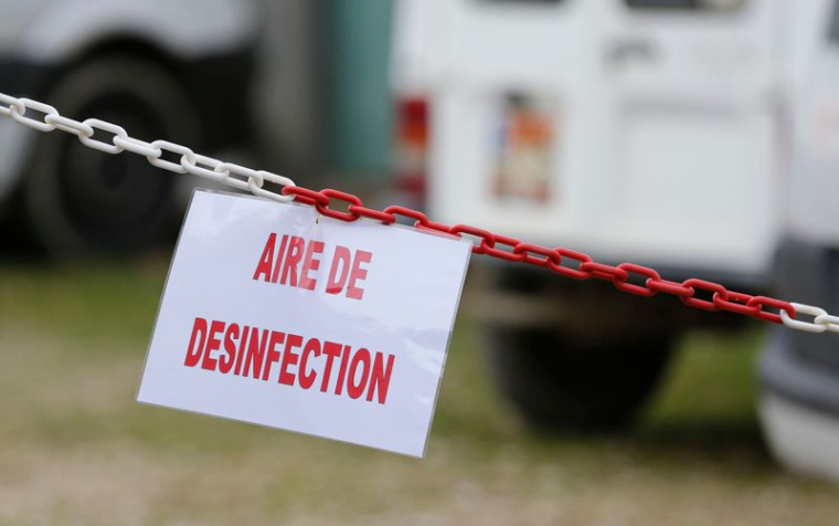 UN FOYER DE GRIPPE AVIAIRE DÉTECTÉ DANS LE DÉPARTEMENT DU NORD