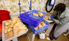 UN DEUXIÈME ÉLEVAGE DES LANDES CONTAMINÉ PAR LA GRIPPE AVIAIRE