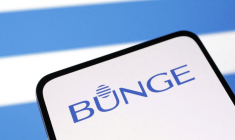 Illustration du logo de Bunge Ltd