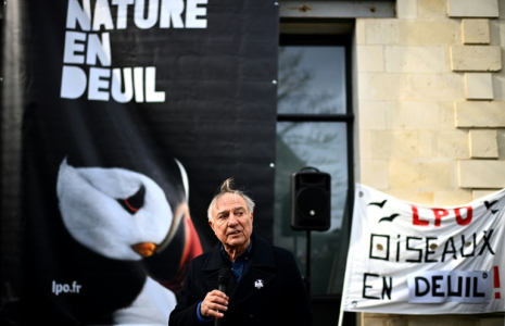 La Ligue de Protection des Oiseaux (LPO), présidée par Allain Bougrain Dubourg, avait organisé l'enterrement symbolique de la biodiversité le 13 mars 2025 à Rochefort (Charente-Maritime) ( AFP / Christophe ARCHAMBAULT )