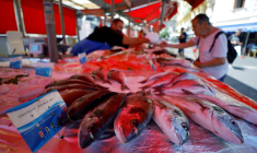 Un poissonier sur un marché local, à Nice