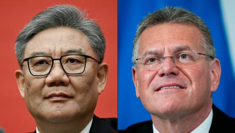 Le ministre chinois du Commerce, Wang Wentao et le commissaire européen au Commerce Maros Sefcovic ( AFP / Pedro PARDO )