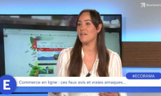 Commerce en ligne : ces faux avis et vraies arnaques...