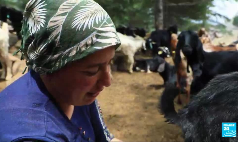 Turquie : les derniers nomades Yörük peinent à perpétuer leurs traditions
