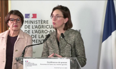 Motions de censure: sans gouvernement "il n'y aura pas de solution pour les agriculteurs"