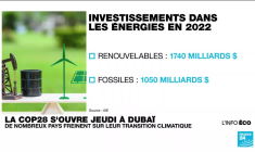 COP28 : la consommation d'énergies fossiles bat des records