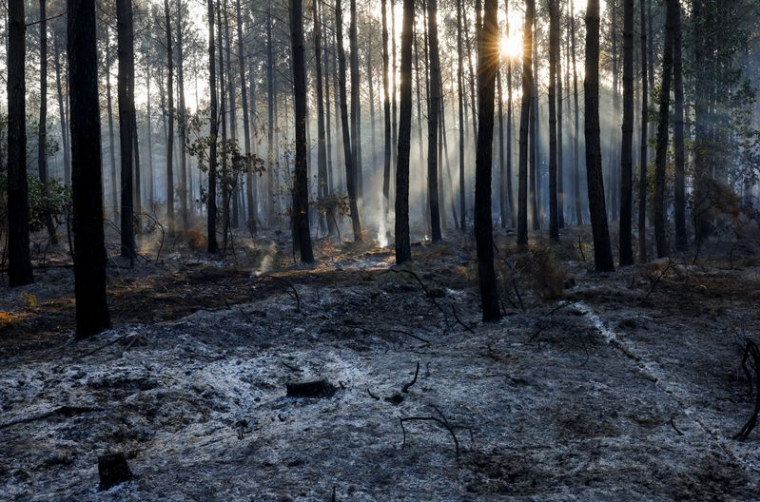 FRANCE: LA PLUIE APPORTE UN LÉGER RÉPIT SUR LE FRONT DES INCENDIES
