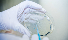 Un nouvel échec fait lourdement chuter le titre AB Science. (© cc HCC)