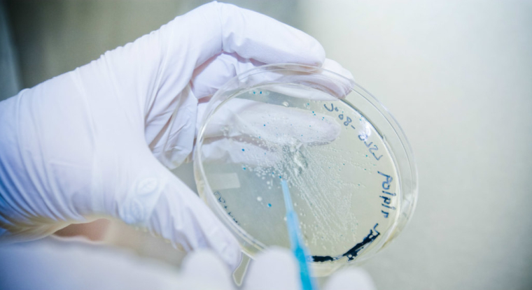 Un nouvel échec fait lourdement chuter le titre AB Science. (© cc HCC)