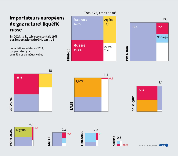 États membres de l'Union européenne qui importent du gaz naturel liquéfié (GNL) russe et leurs autres principaux pays fournisseurs en 2024 ( AFP / Jonathan WALTER )