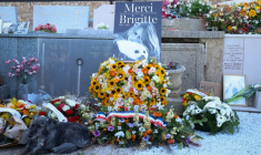 Un chien couché à côté des fleurs déposées autour de la tombe de l'actrice Brigitte Bardot, au cimetière maritime de Saint-Tropez, le 7 janvier 2026 après ses funérailles dans le Var ( AFP / Valery HACHE )