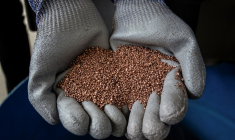 ( AFP / EZEQUIEL BECERRA )