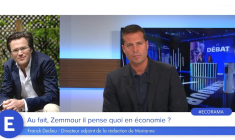 Au fait, Zemmour il pense quoi en économie ?