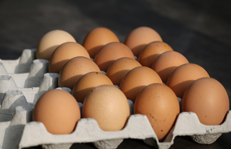 Des œufs durs déjà écalés pourraient bientôt être vendus en France. (illustration) (Pixabay)