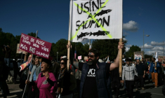 Manifestation contre le projet d’élevage industriel de saumons en milieu terrestre, le 18 octobre 2026 au Verdon-sur-Mer, en Gironde ( AFP / Philippe LOPEZ )