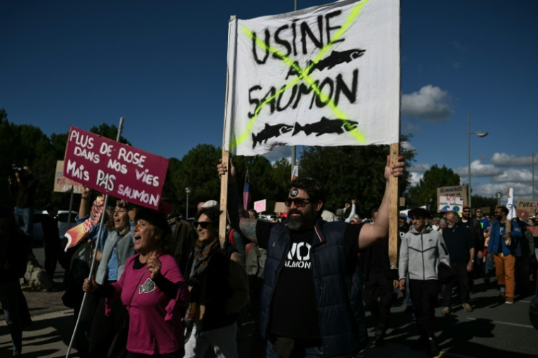 Manifestation contre le projet d’élevage industriel de saumons en milieu terrestre, le 18 octobre 2026 au Verdon-sur-Mer, en Gironde ( AFP / Philippe LOPEZ )