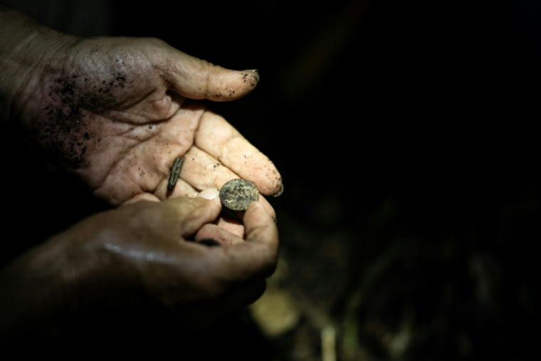 Takamatsu Gushiken, qui recherche des restes humains, oubliés depuis la Seconde Guerre mondiale, tient un bouton d'uniforme, dans une forêt à Itoman, dans la préfecture d'Okinawa, le 11 juin 2025 au Japon ( AFP / Philip FONG )