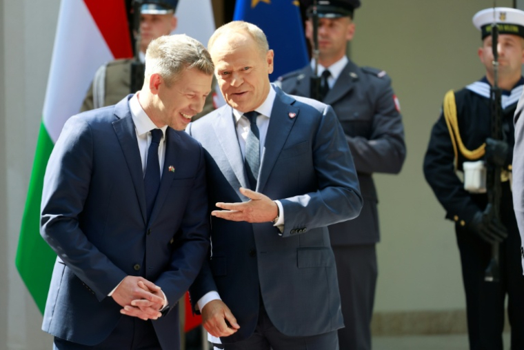 Le Premier ministre polonais Donald Tusk (D) avec son homologue hongrois Peter Magyar à Varsovie le 20 mai 2026 ( AFP / Wojtek RADWANSKI )