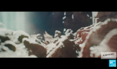 Immersion dans l'univers de Yoa et sa "bedroom pop"