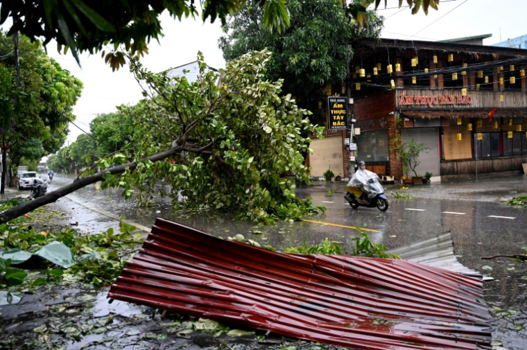 Un arbre abattu par le passage du typhon Kajiki  à Vinh, dans la province de Nghe An, le 26 août 2025 au Vietnam ( AFP / Nhac NGUYEN )