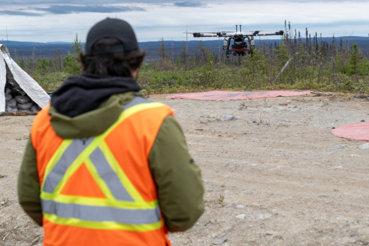 Les drones sont capables de lancer 50.000 capsules contenant des semences d'arbres par jour. ( AFP / François Robert-Durand )