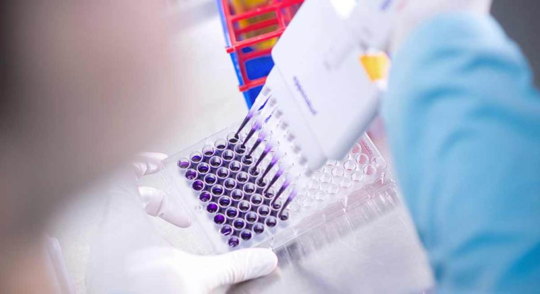 Fin 2015, puis début 2016, la société publiera des résultats cliniques majeurs pour deux vaccins destinés à la prévention des maladies nosocomiales. (© Valneva)