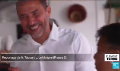 En Guadeloupe, le retour de légumes et fruits anciens pour consommer local