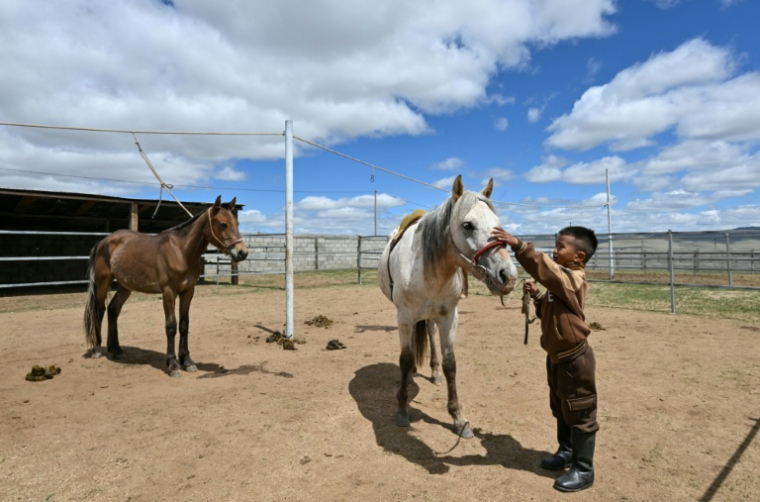 Hurts Gantumur, 6 ans, aspirant enfant jockey, prépare son cheval pour s'entraîner avant le festival de Naadam, en périphérie d'Oulan-Bator, le 23 juin 2026 en Mongolie ( AFP / Adek BERRY )