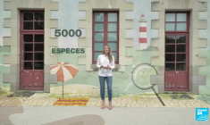 Microalgues : nos océans sont-ils toxiques ?