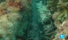 Espionnage par la NSA : Macron et Merkel exigent la "clarté complète"