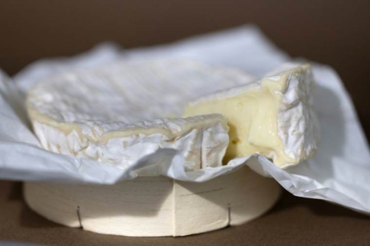 Un camembert à Quimper le 13 août 2025 ( AFP / Fred TANNEAU )