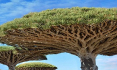 SCPI Cap Foncières et Territoires : la valeur de reconstitution reste supérieure au prix de souscription