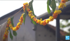 Élections en Inde : le BJP à la conquête de l'État du Kerala dans le sud du pays