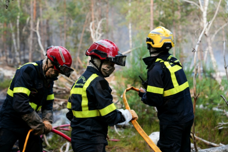 Des pompiers lutte ntcontre un incendie dans la forêt de Fontainebleau, à Noisy-sur-École, le 14 juillet 2026 en Seine-et-Marne ( AFP / Dimitar DILKOFF )